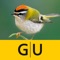 Vögel bestimmen – erkennen Sie heimische Vogelarten in der Natur und im Garten an Stimme, Gefieder und Lebensraum (AppStore Link) 